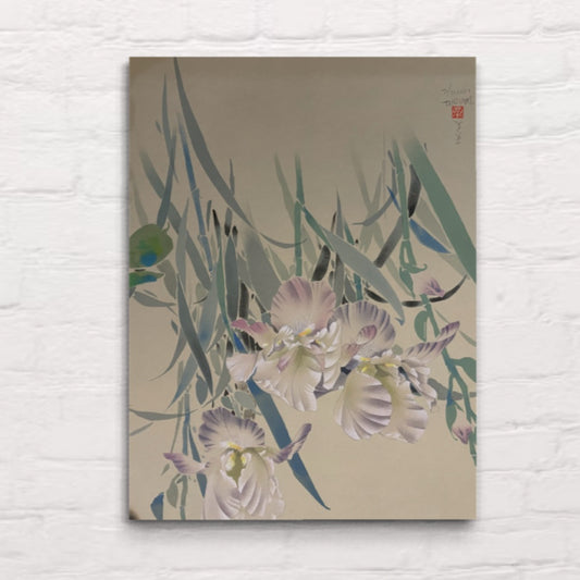 David Lee - "Iris"